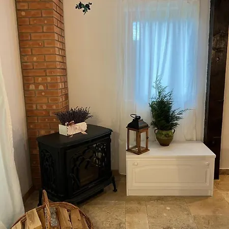 Casa De Vacanta Traditionala La Fanar Schiulesti