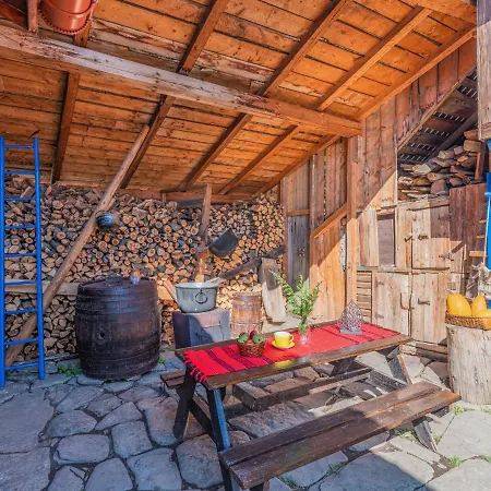 Casa De Vacanta Traditionala La Fanar Country house