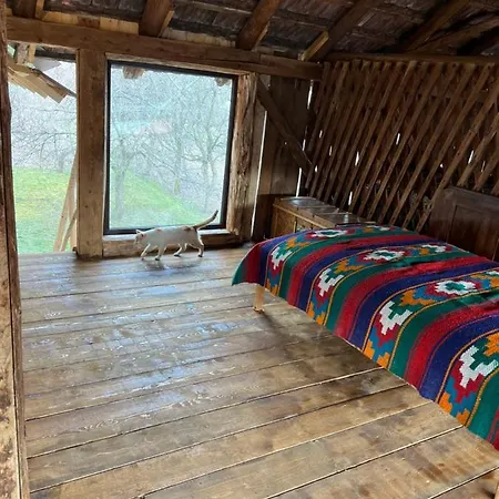 Casa De Vacanta Traditionala La Fanar